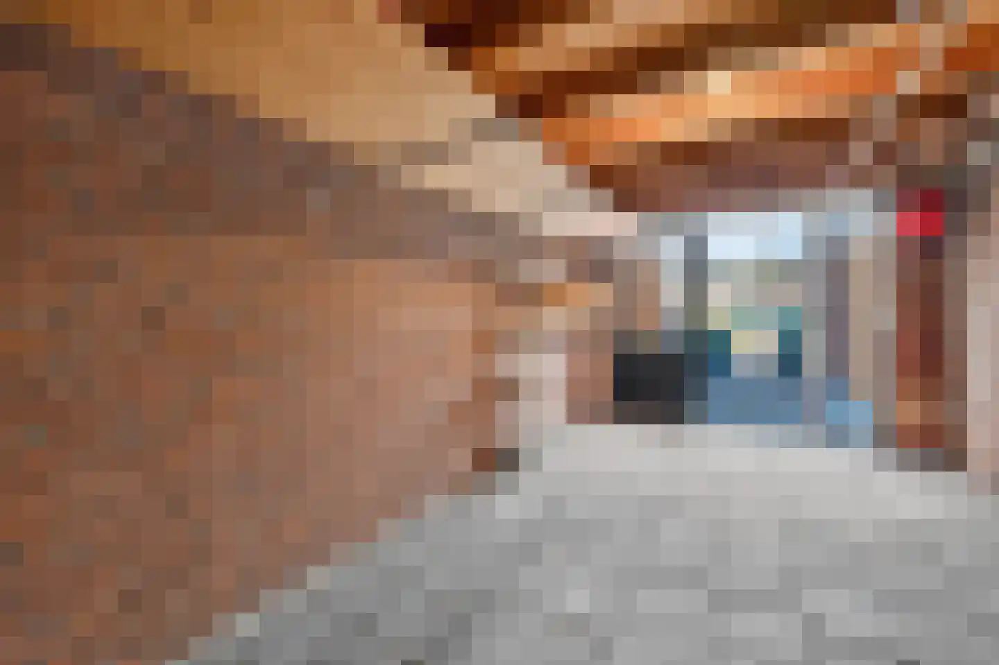 Akkerdistel 78 Klazienaveen thumbnail 33