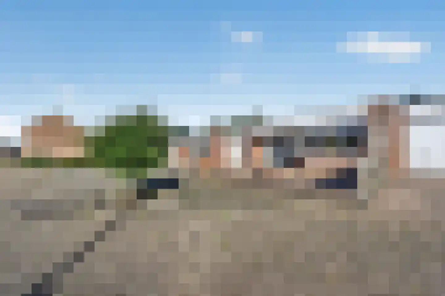 Akkerdistel 78 Klazienaveen thumbnail 34