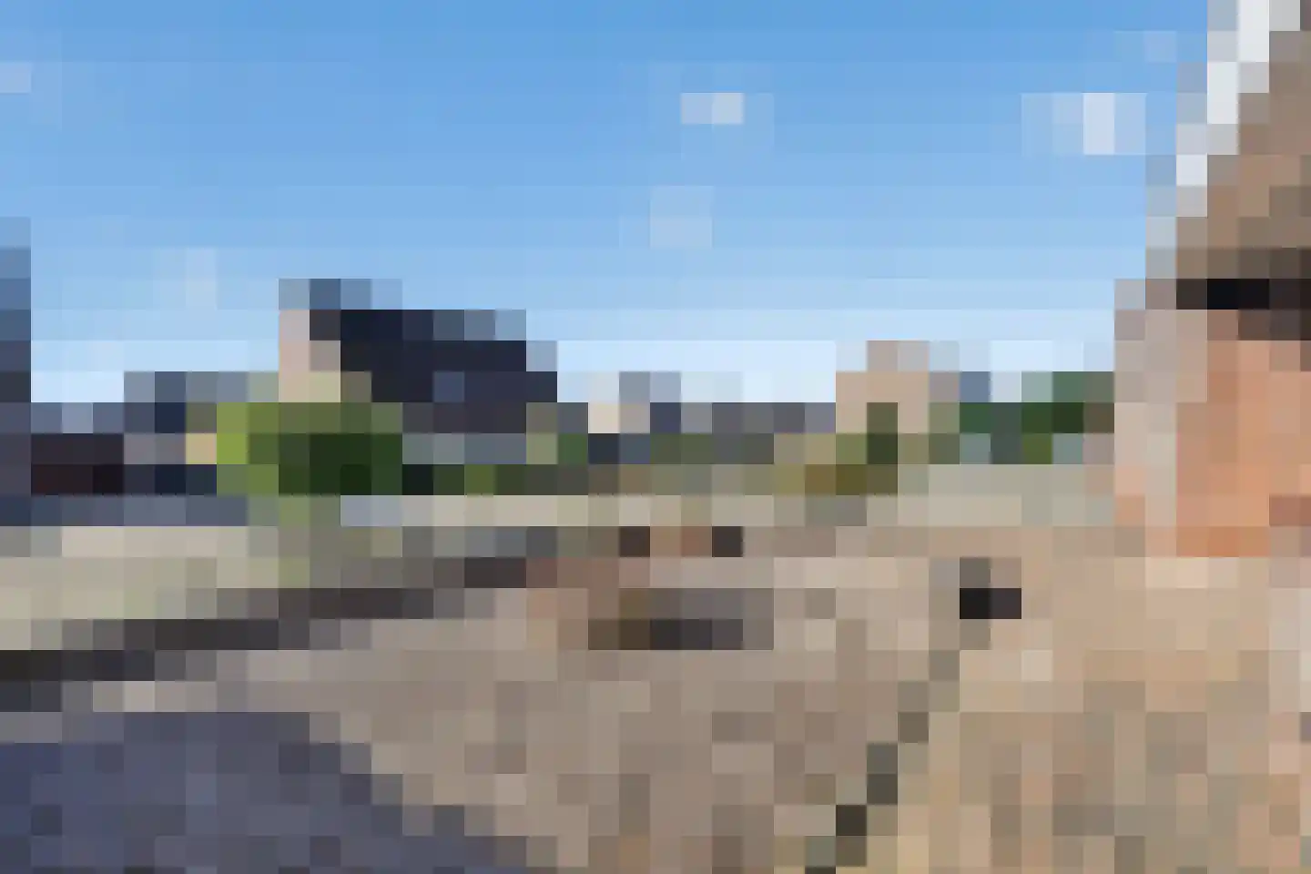 Akkerdistel 78 Klazienaveen thumbnail 36