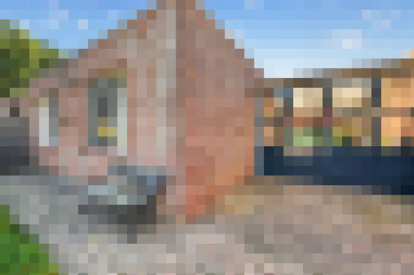 Akkerdistel 78 Klazienaveen thumbnail 38