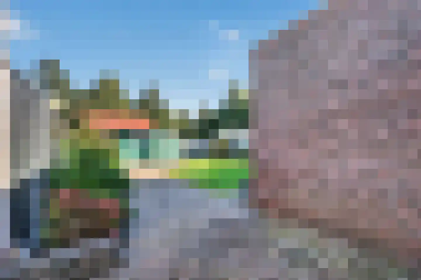 Akkerdistel 78 Klazienaveen thumbnail 40
