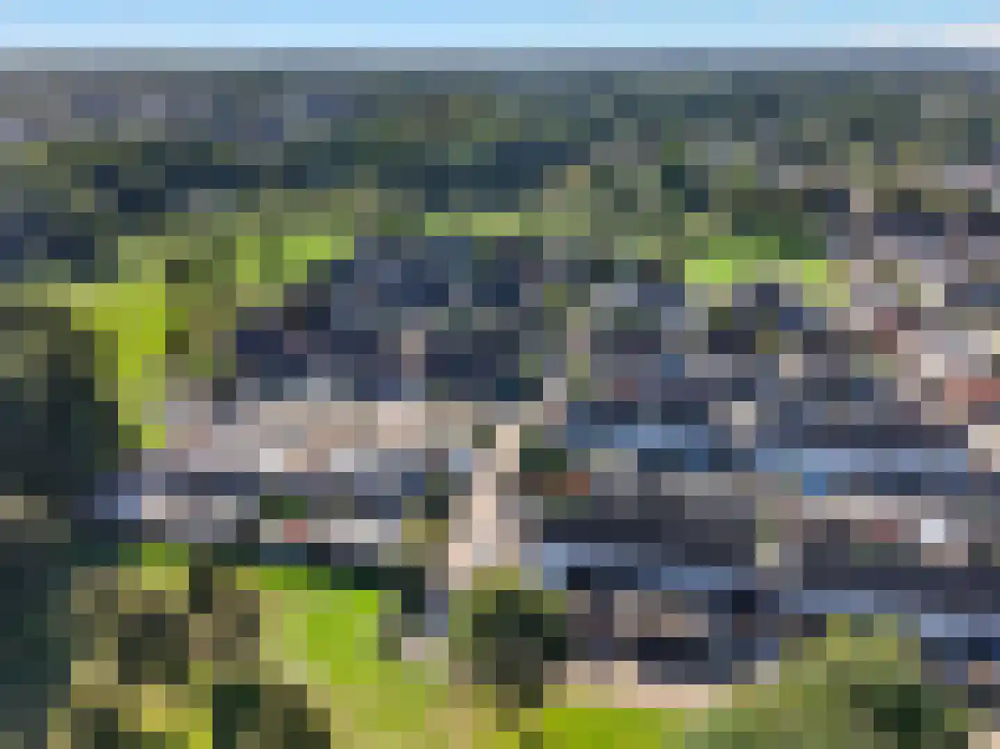 Akkerdistel 78 Klazienaveen thumbnail 44