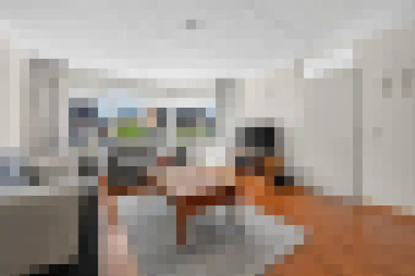 Akkerdistel 78 Klazienaveen thumbnail 6