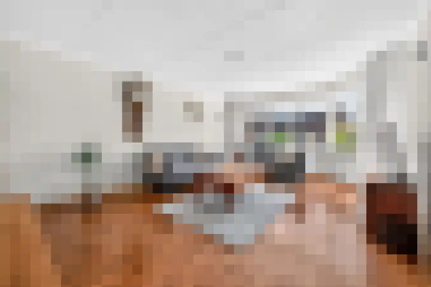 Akkerdistel 78 Klazienaveen thumbnail 8