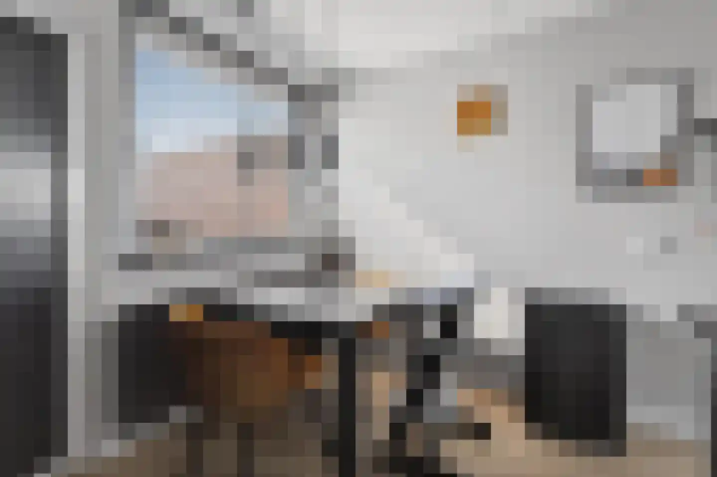 Akkerdistel 95 Klazienaveen thumbnail 13
