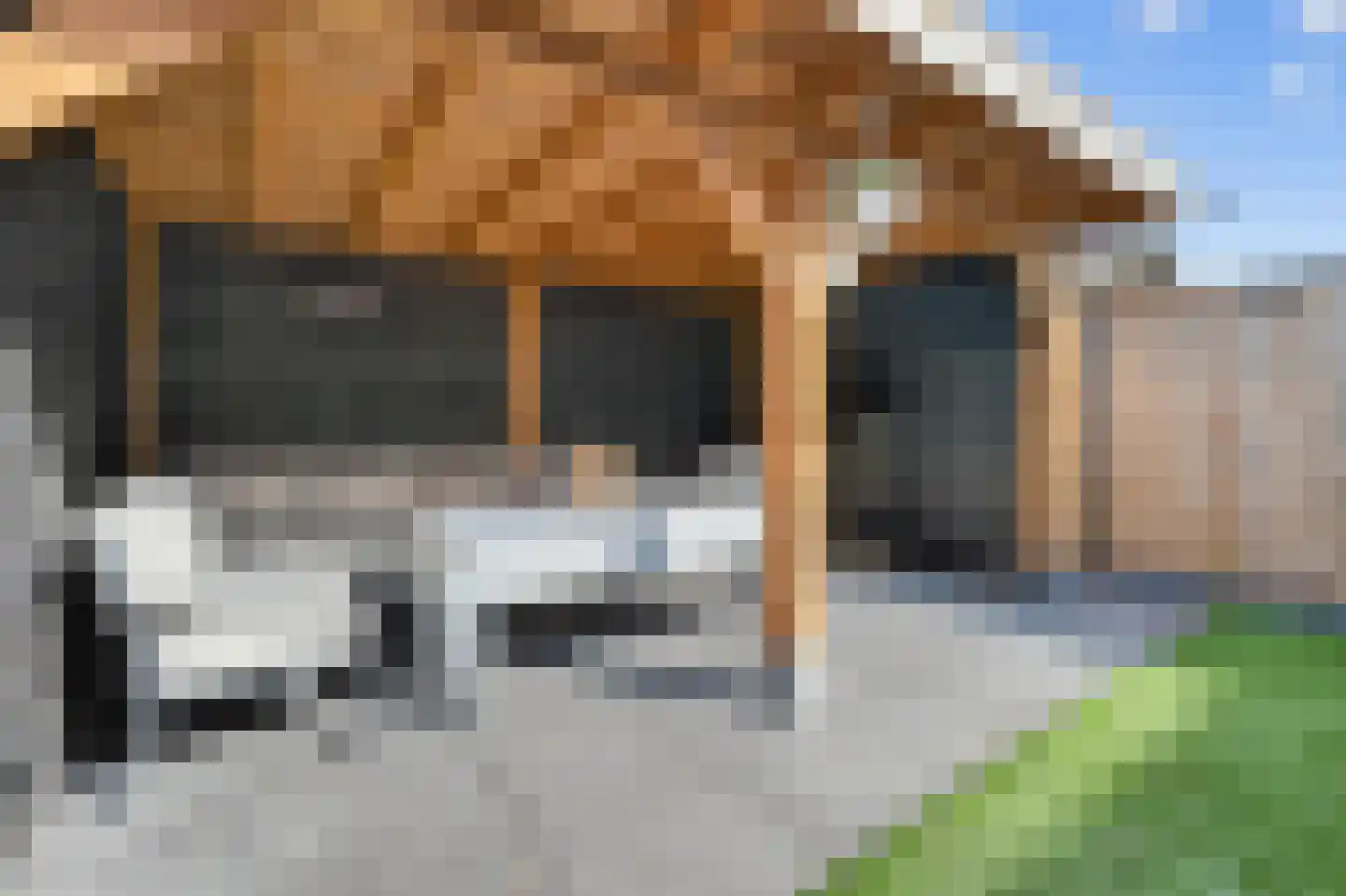 Akkerdistel 95 Klazienaveen thumbnail 36