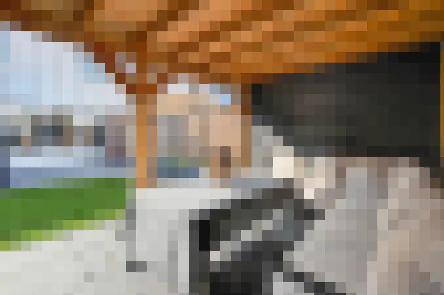 Akkerdistel 95 Klazienaveen thumbnail 37