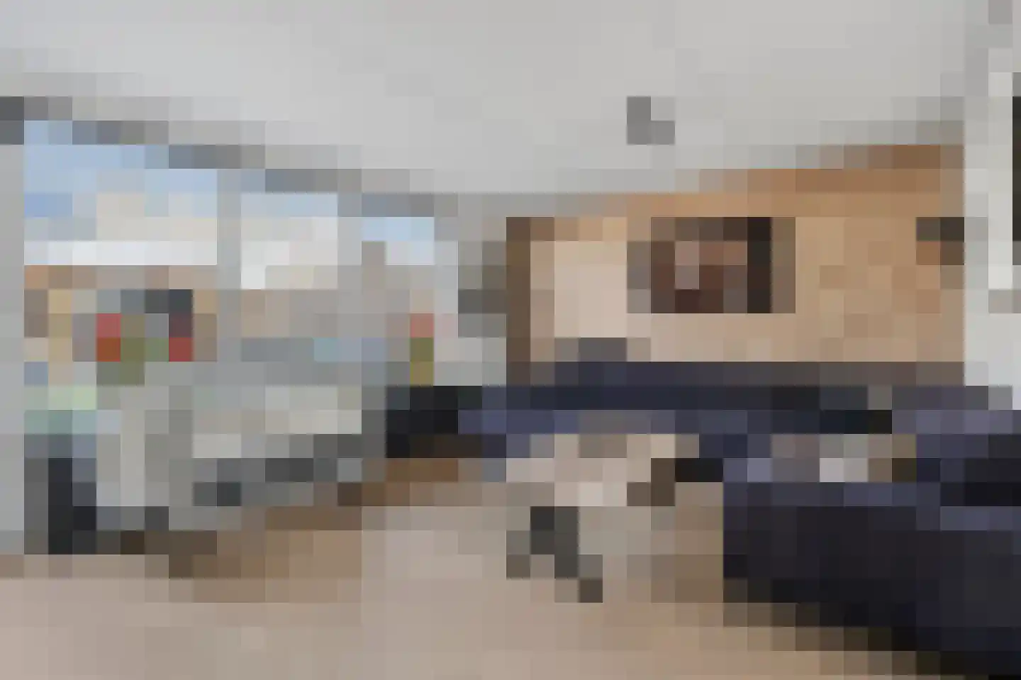Akkerdistel 95 Klazienaveen thumbnail 6