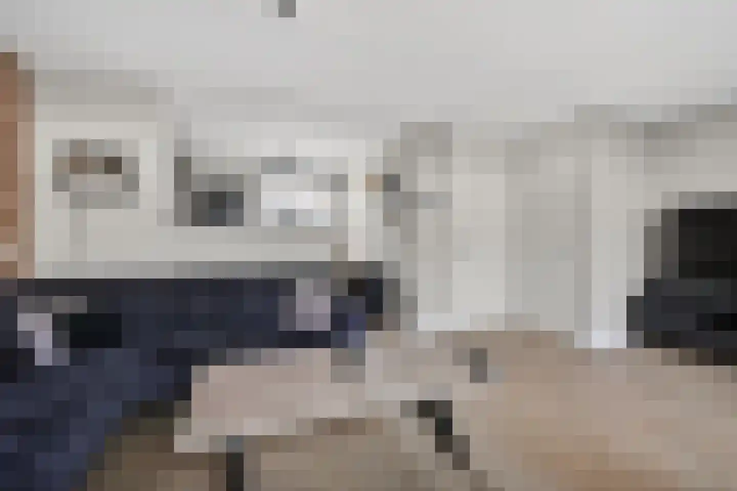 Akkerdistel 95 Klazienaveen thumbnail 8