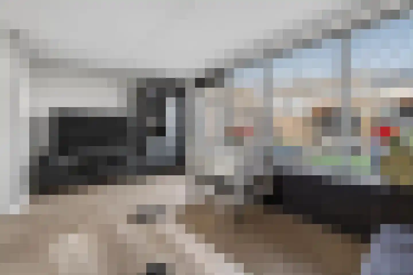 Akkerdistel 95 Klazienaveen thumbnail 9
