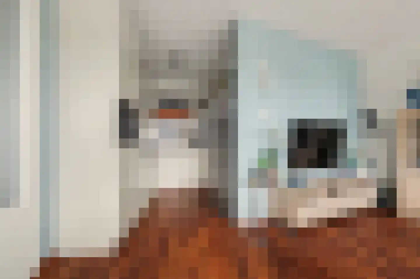 Akkerdistelstraat 37 Goes thumbnail 10