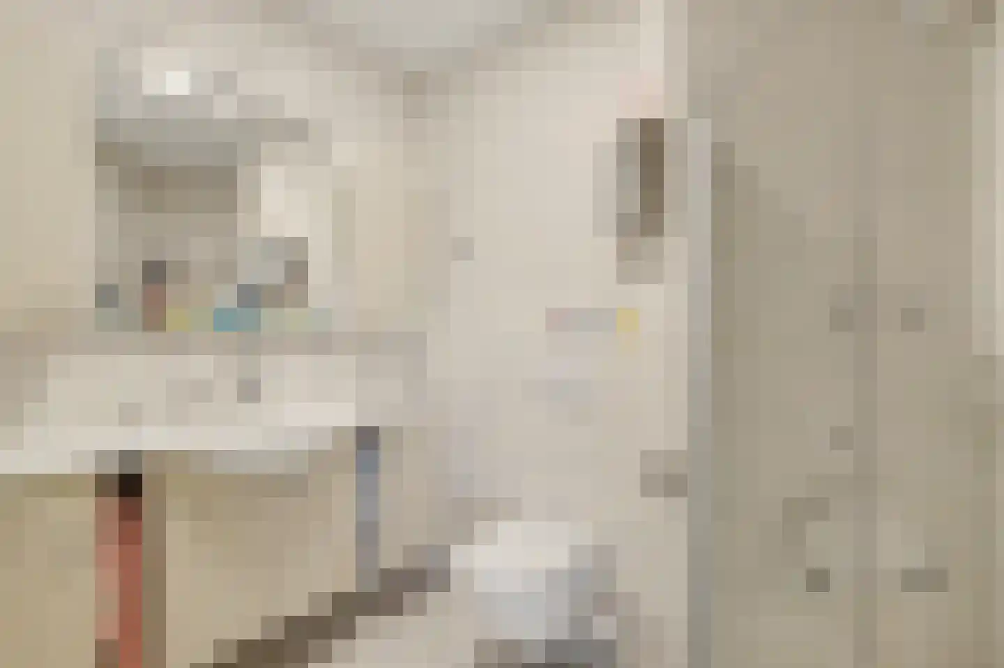 Akkerdistelstraat 37 Goes thumbnail 17
