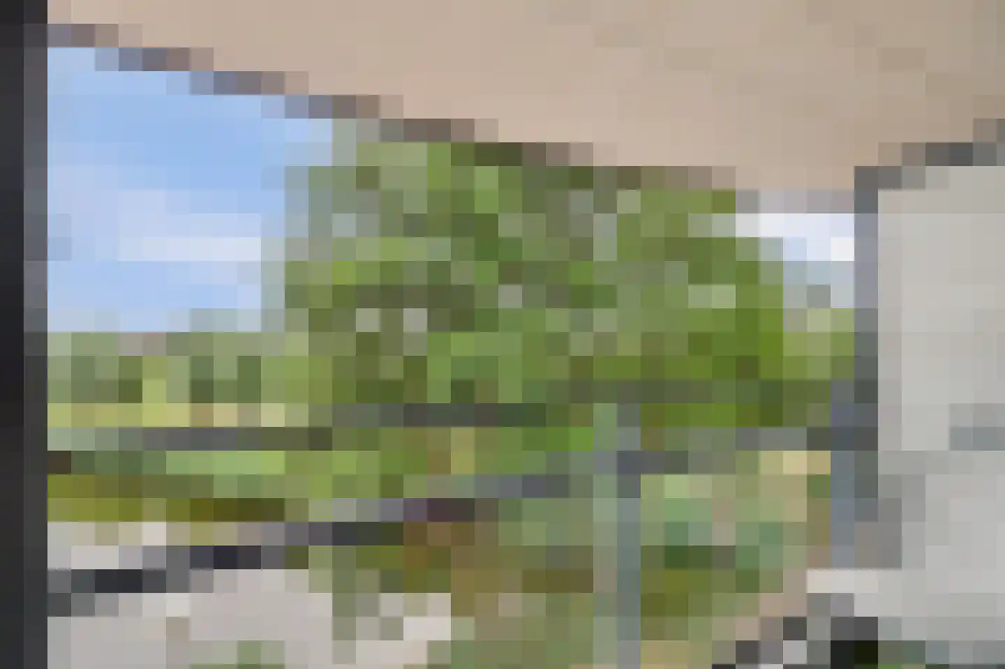 Akkerdistelstraat 37 Goes thumbnail 22