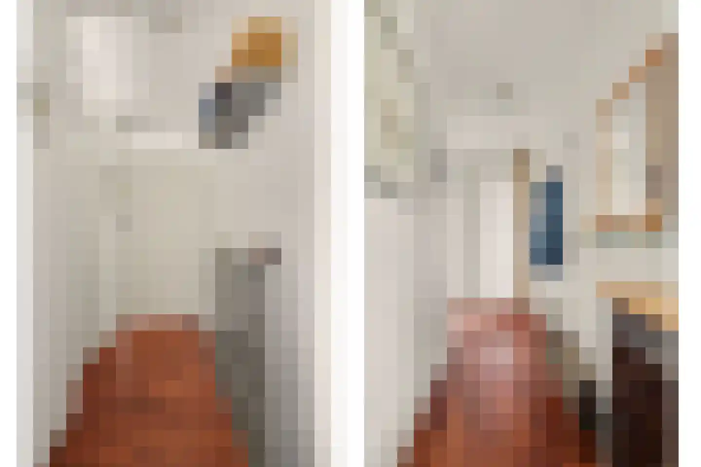 Akkerdistelstraat 37 Goes thumbnail 24