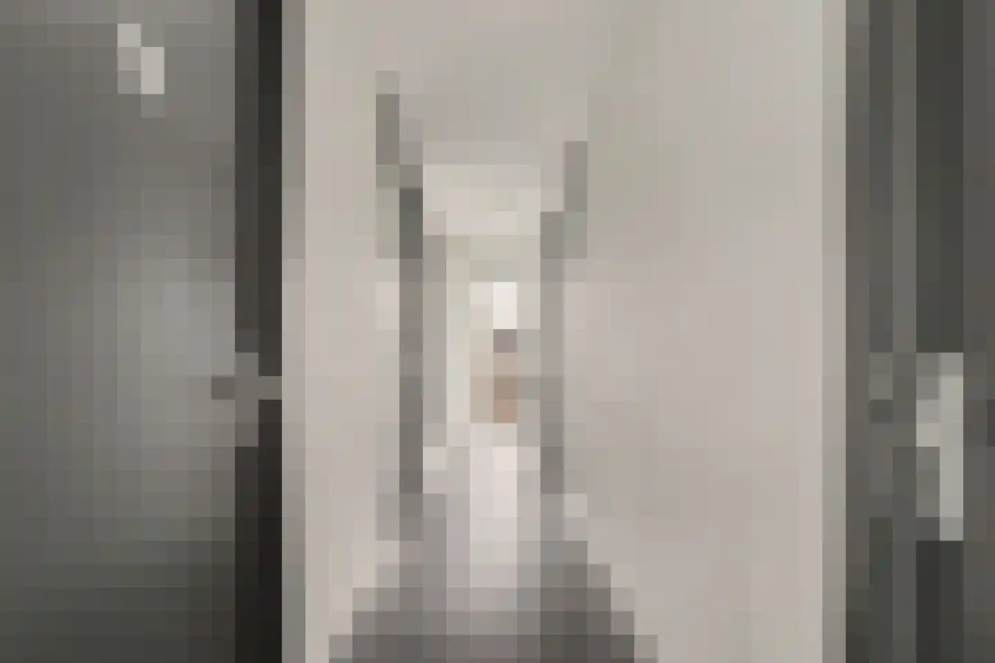 Akkerdistelstraat 37 Goes thumbnail 28