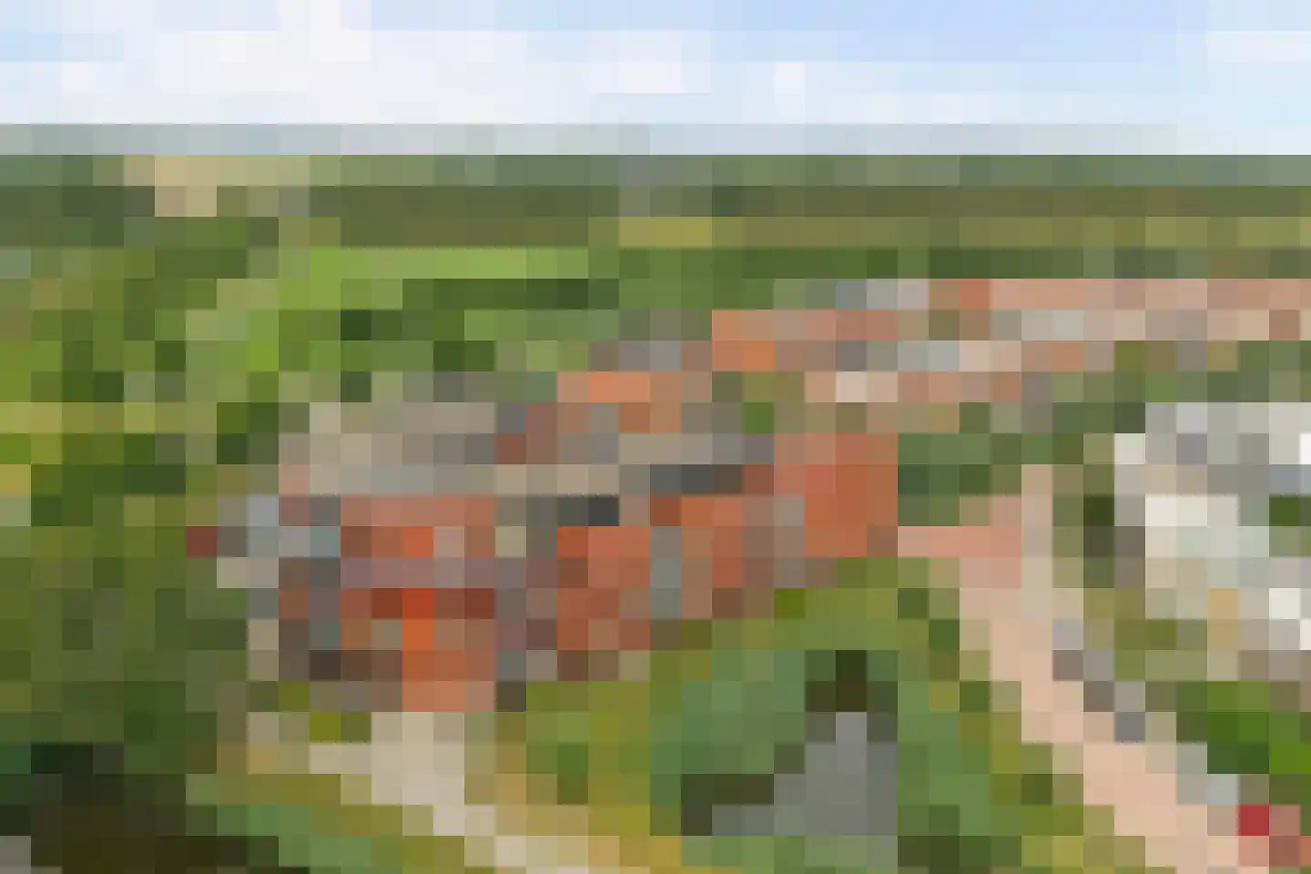 Akkerdistelstraat 37 Goes thumbnail 37