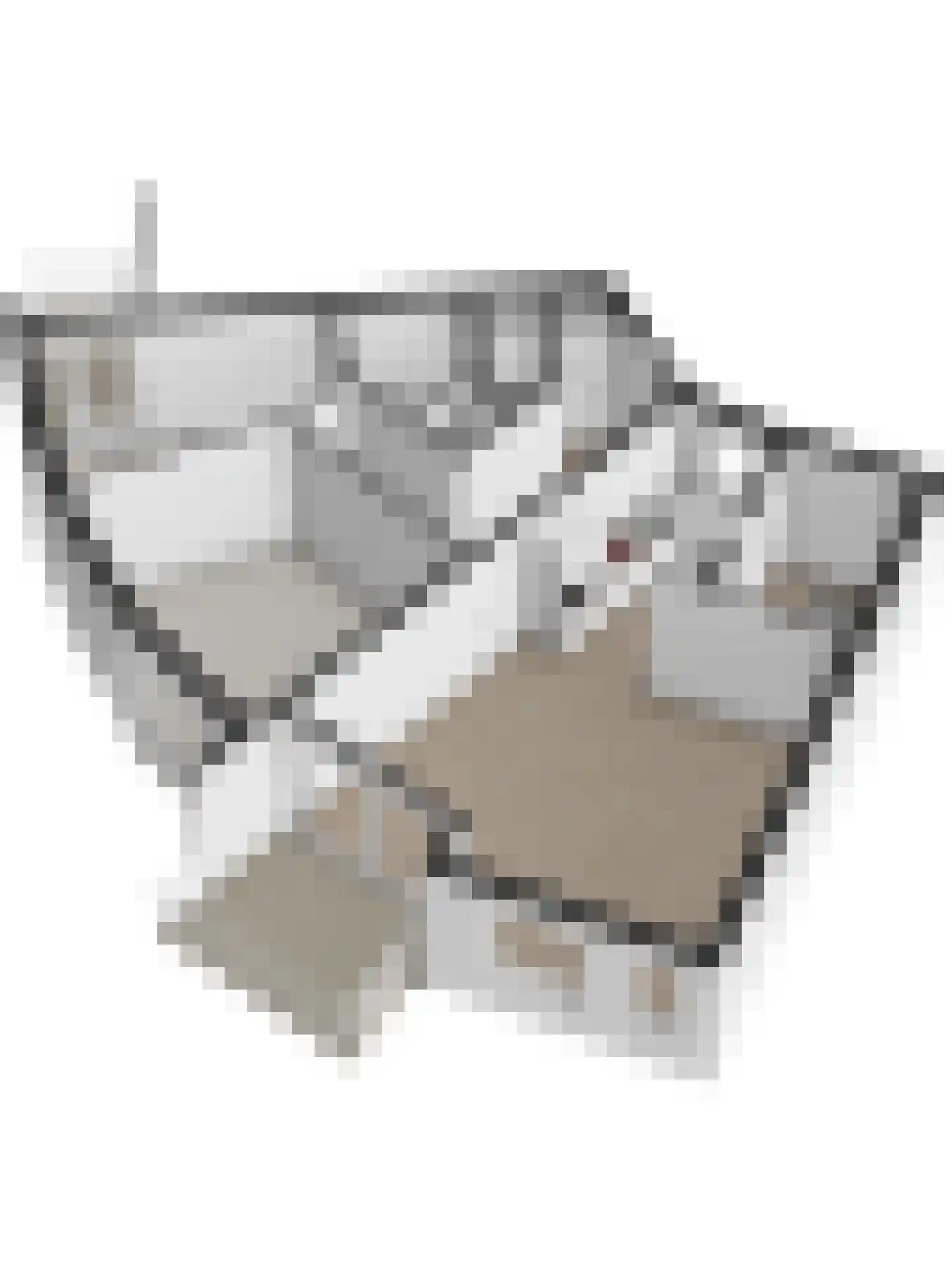 Akkerdistelstraat 37 Goes thumbnail 41