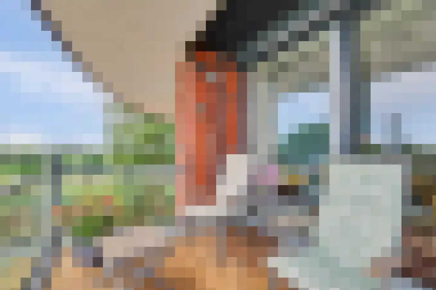 Akkerdistelstraat 37 Goes thumbnail 6
