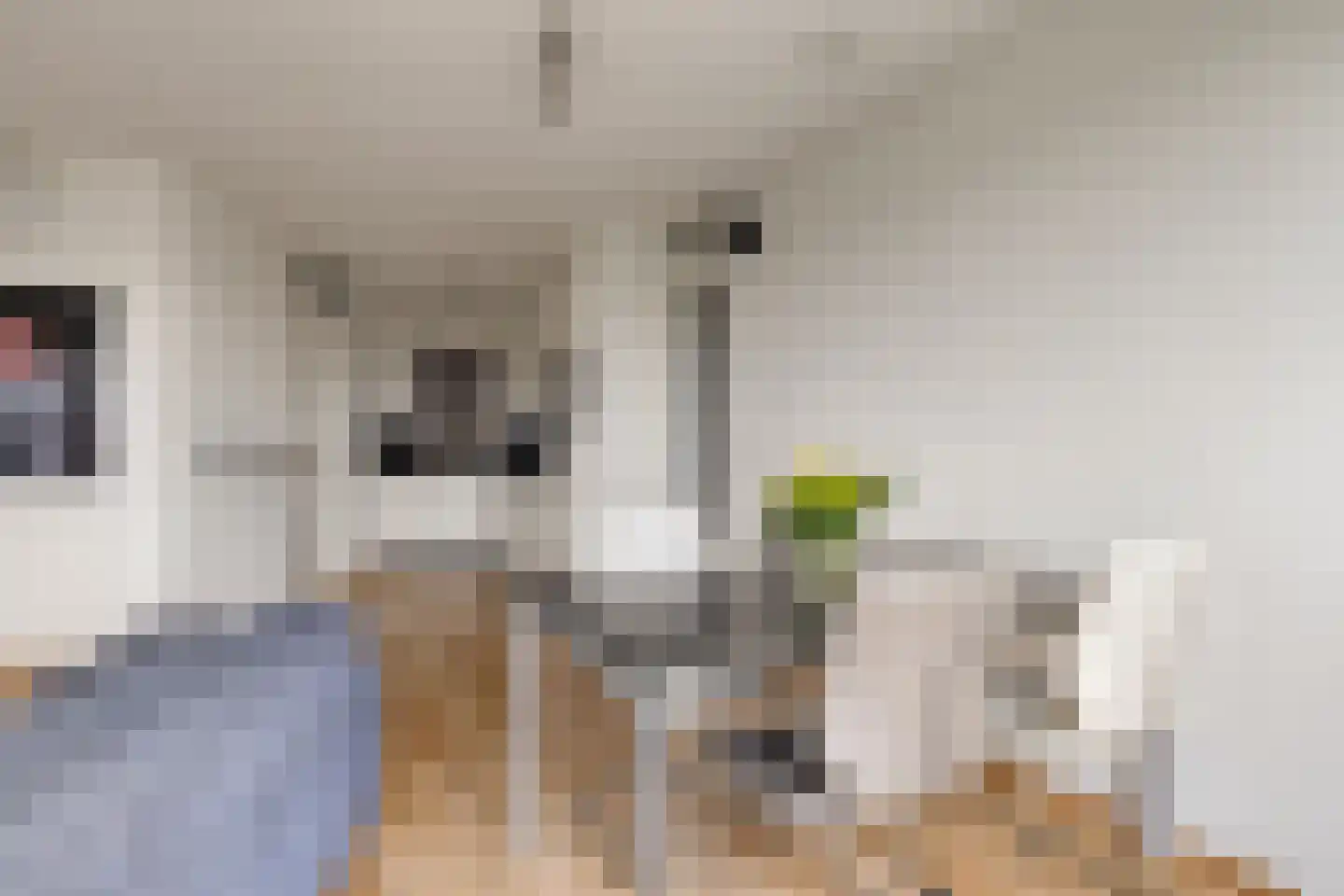 Akkerdistelstraat 53 Goes thumbnail 10