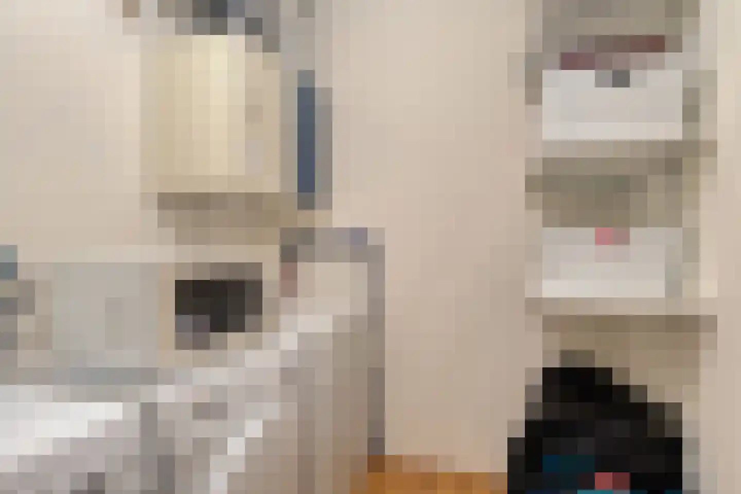 Akkerdistelstraat 53 Goes thumbnail 17