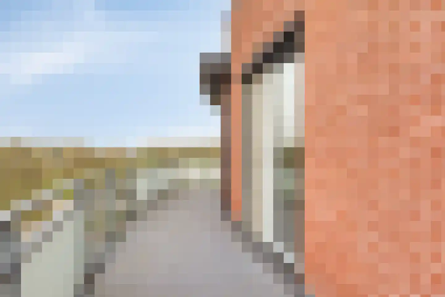 Akkerdistelstraat 53 Goes thumbnail 26