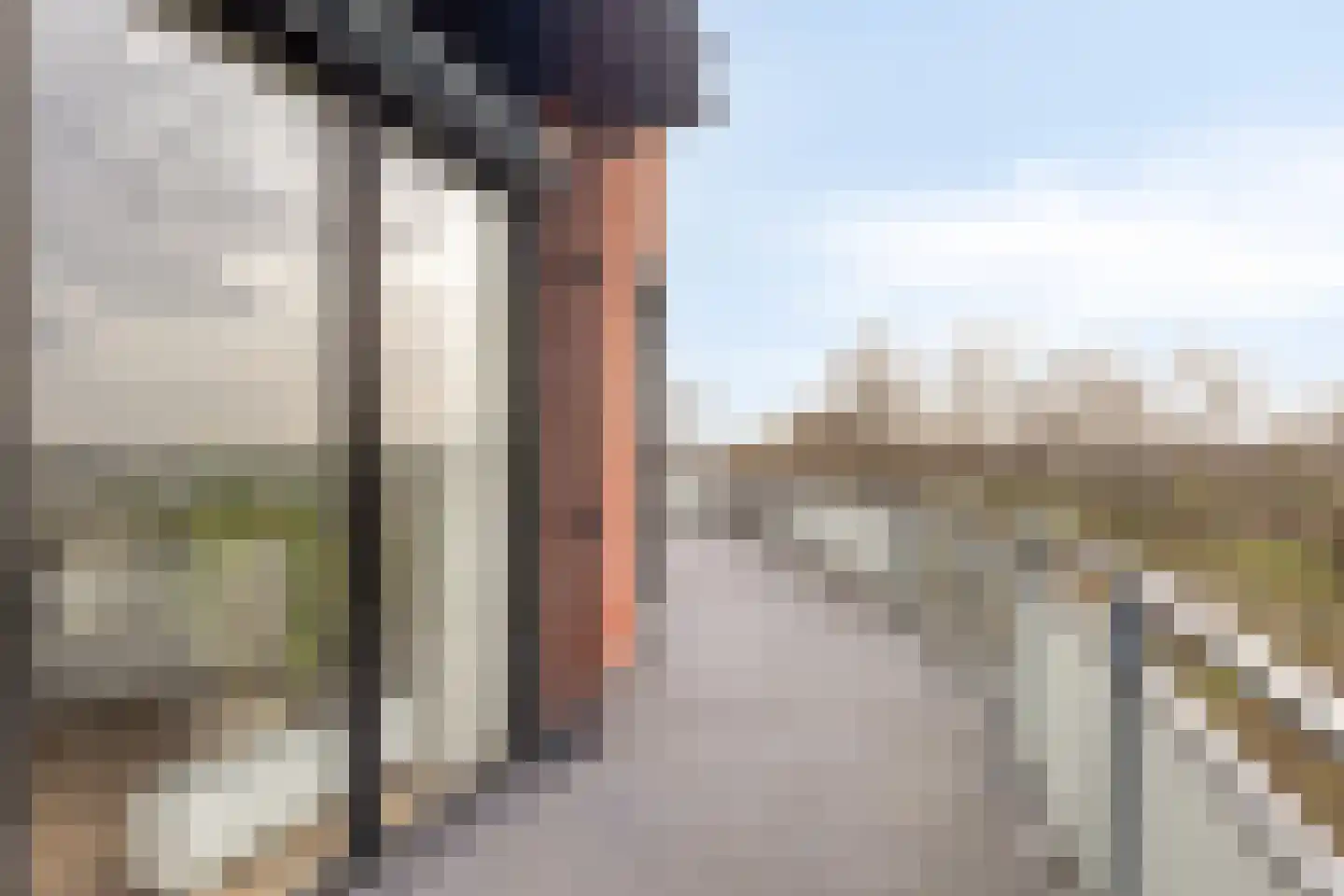 Akkerdistelstraat 53 Goes thumbnail 27