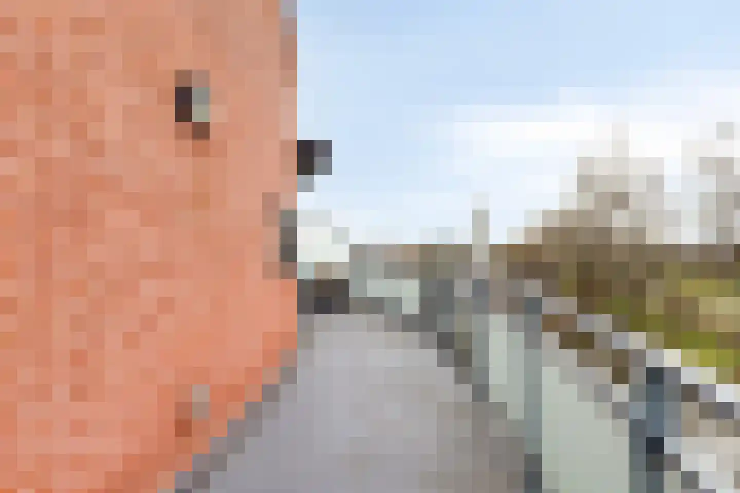 Akkerdistelstraat 53 Goes thumbnail 28