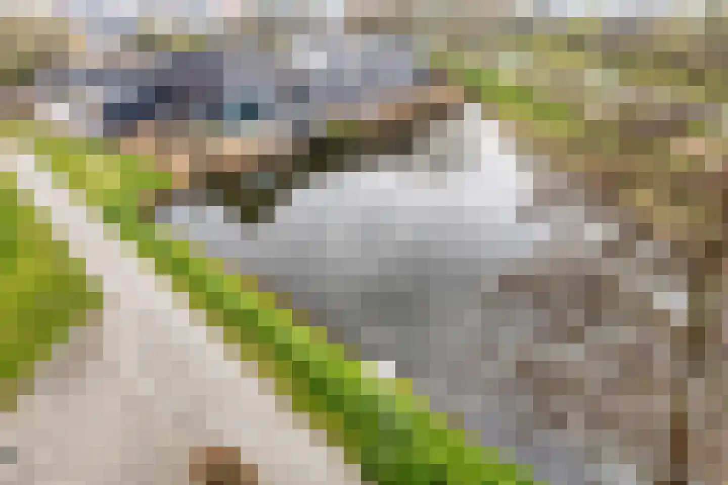 Akkerdistelstraat 53 Goes thumbnail 31