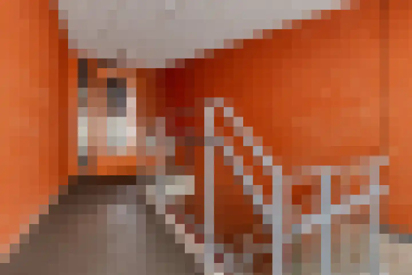 Akkerdistelstraat 53 Goes thumbnail 40