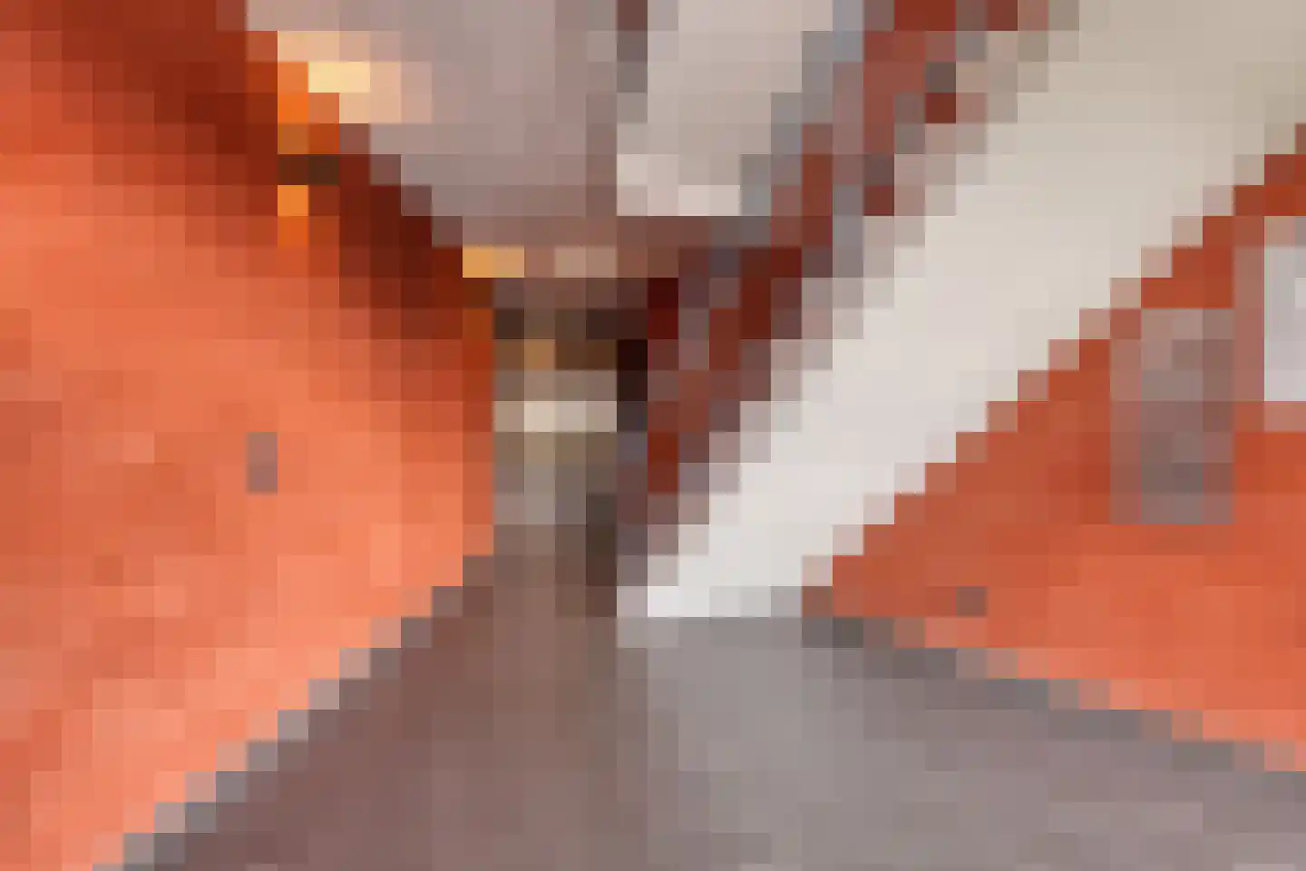 Akkerdistelstraat 53 Goes thumbnail 43