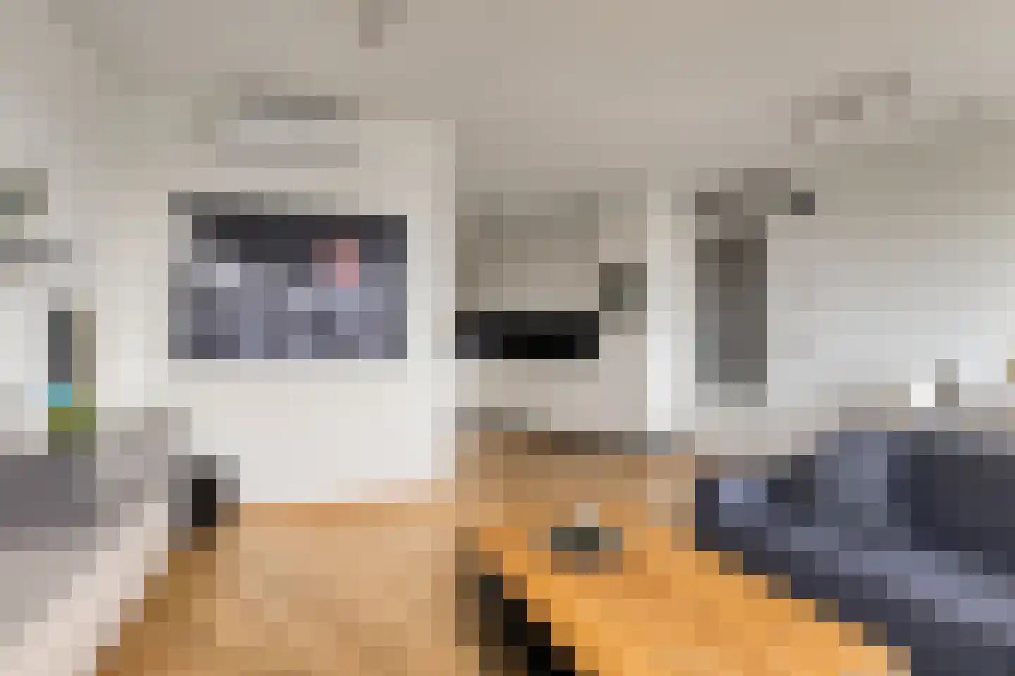 Akkerdistelstraat 53 Goes thumbnail 8
