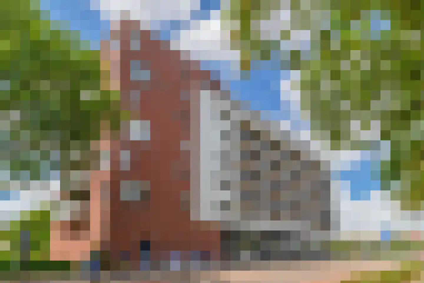 Akkerdonk 50 Spijkenisse