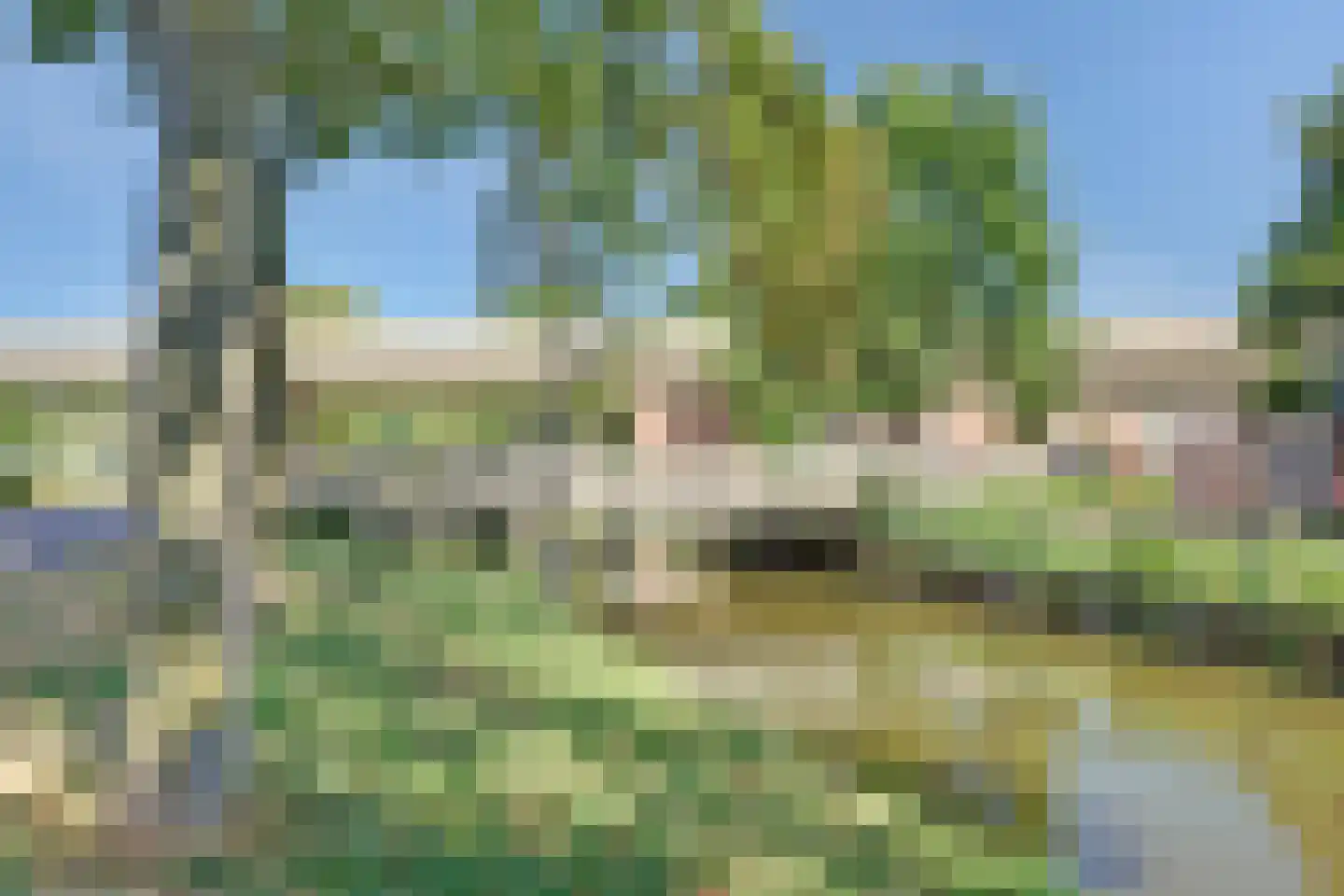 Akkerdonk 54 Spijkenisse thumbnail 22