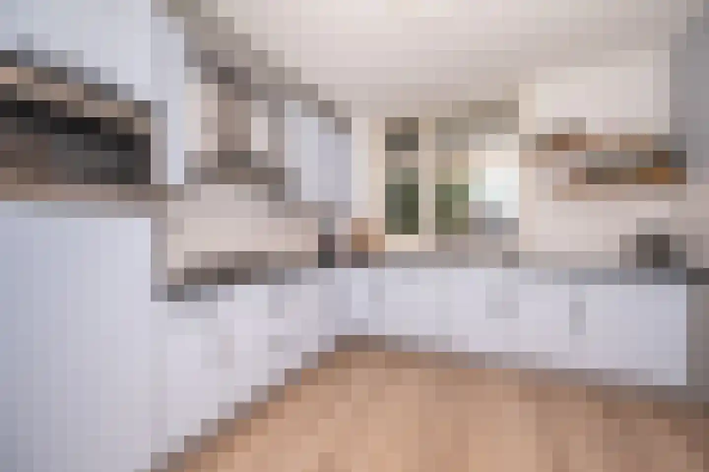 Akkerdreef 123 Zoetermeer thumbnail 11