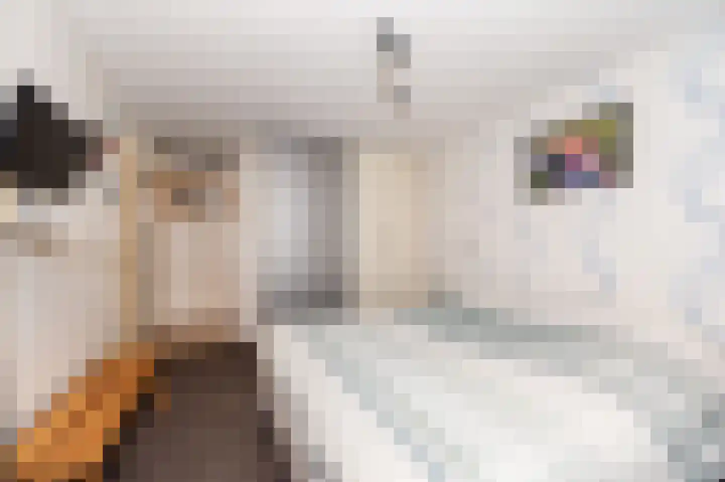 Akkerdreef 123 Zoetermeer thumbnail 17