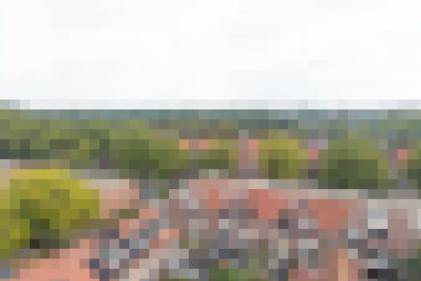 Akkerdreef 123 Zoetermeer thumbnail 19