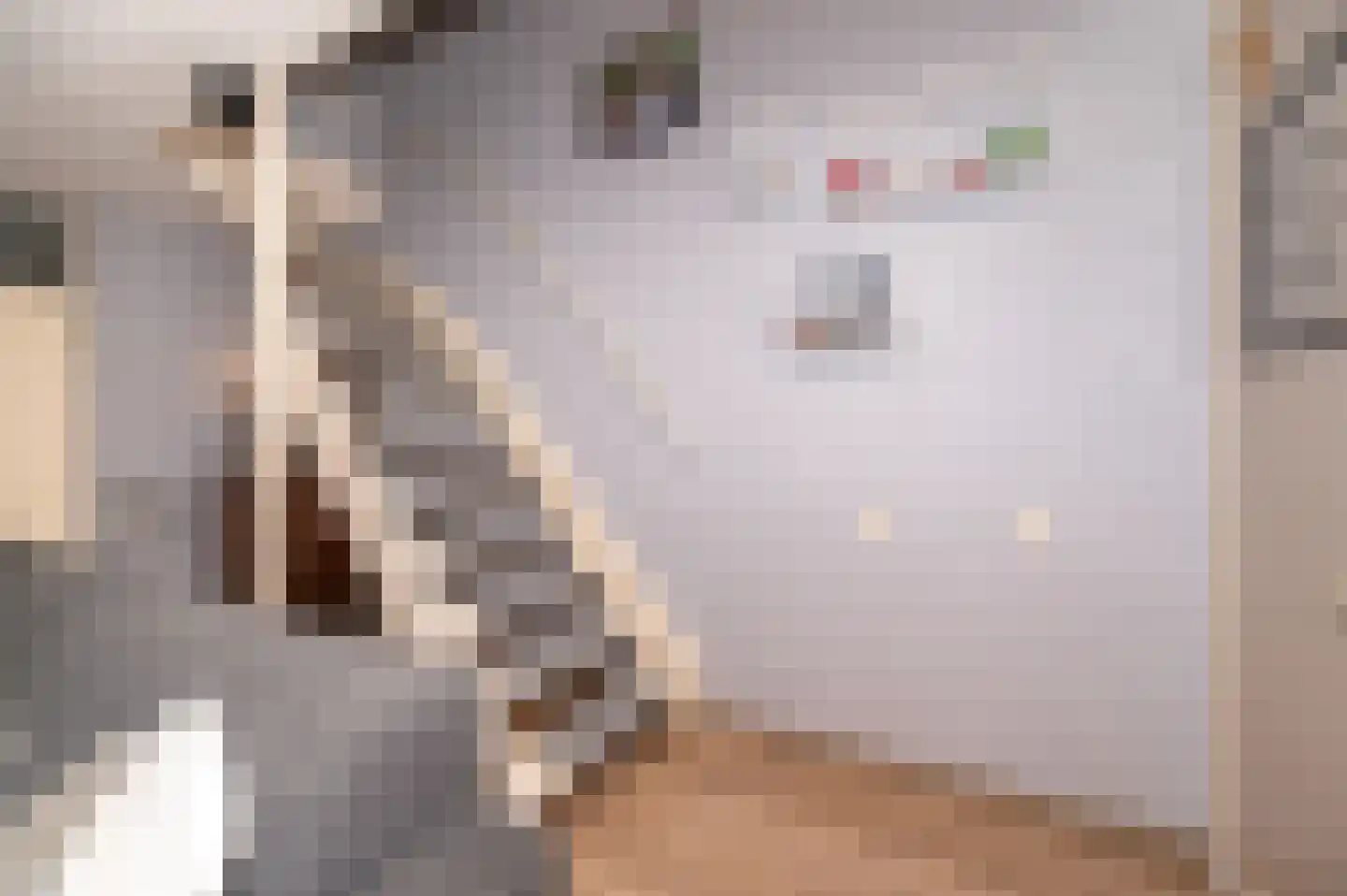 Akkerdreef 123 Zoetermeer thumbnail 6