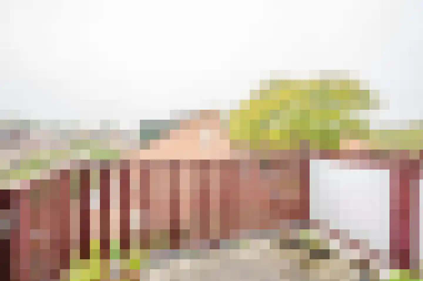 Akkerdreef 123 Zoetermeer thumbnail 7