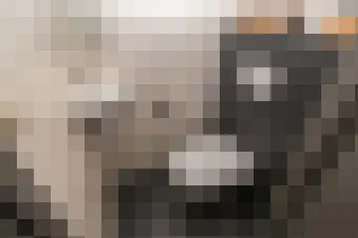 Akkerdreef 128 Zoetermeer thumbnail 10
