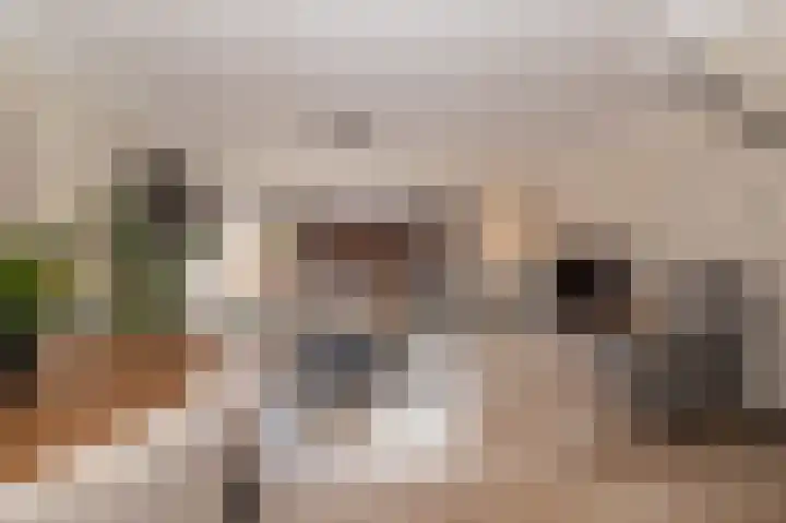 Akkerdreef 128 Zoetermeer thumbnail 5