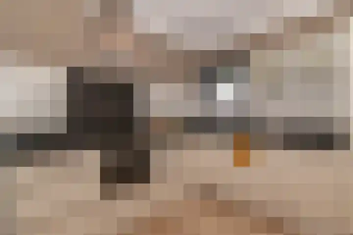 Akkerdreef 128 Zoetermeer thumbnail 8