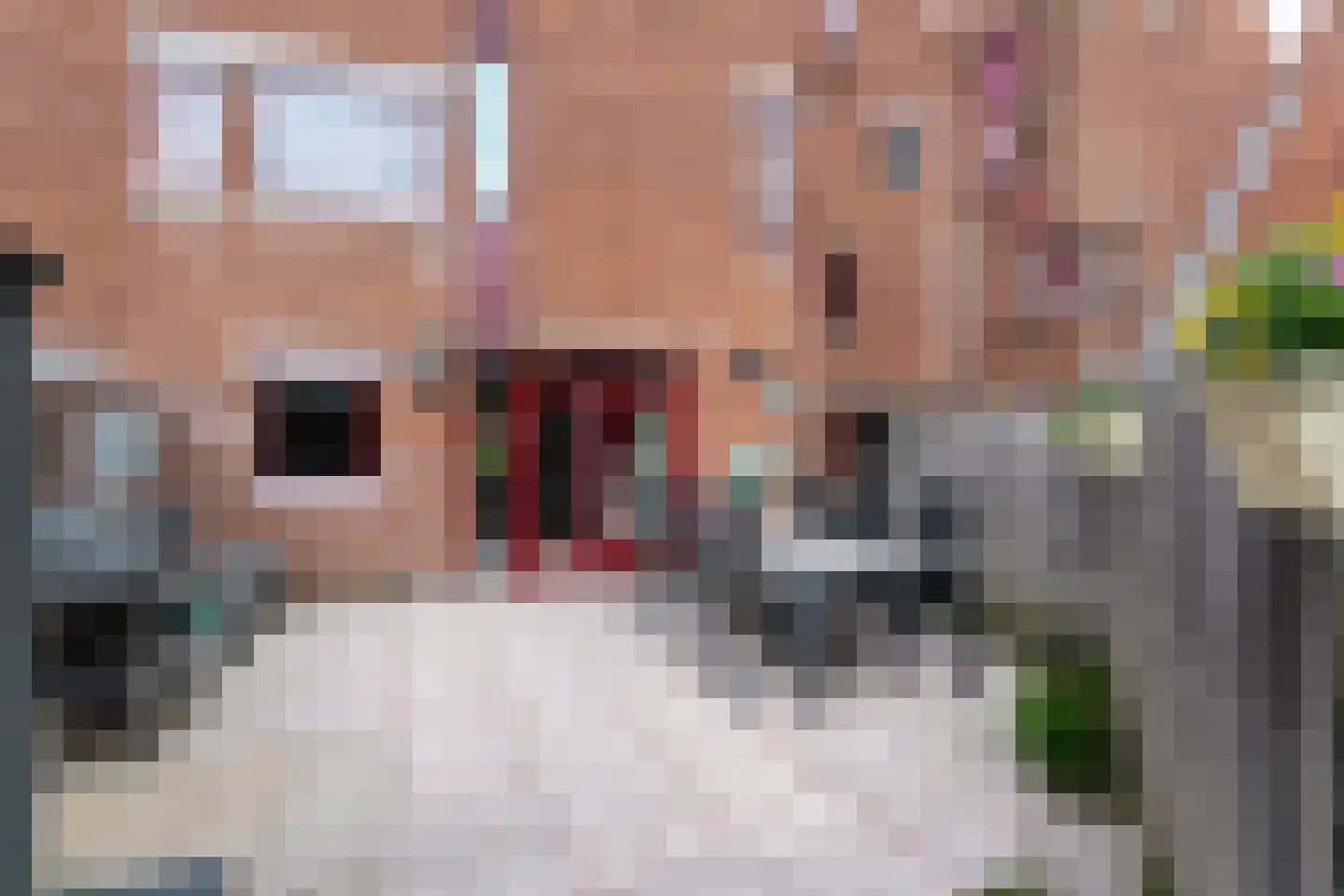 Akkerdreef 20 Zoetermeer thumbnail 24