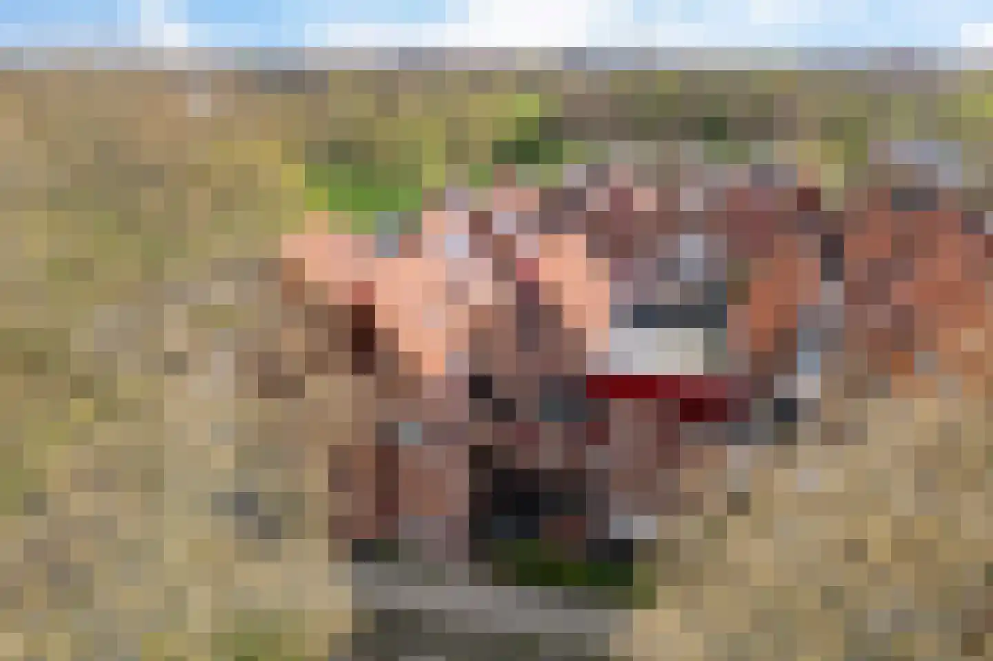 Akkerdreef 20 Zoetermeer thumbnail 41