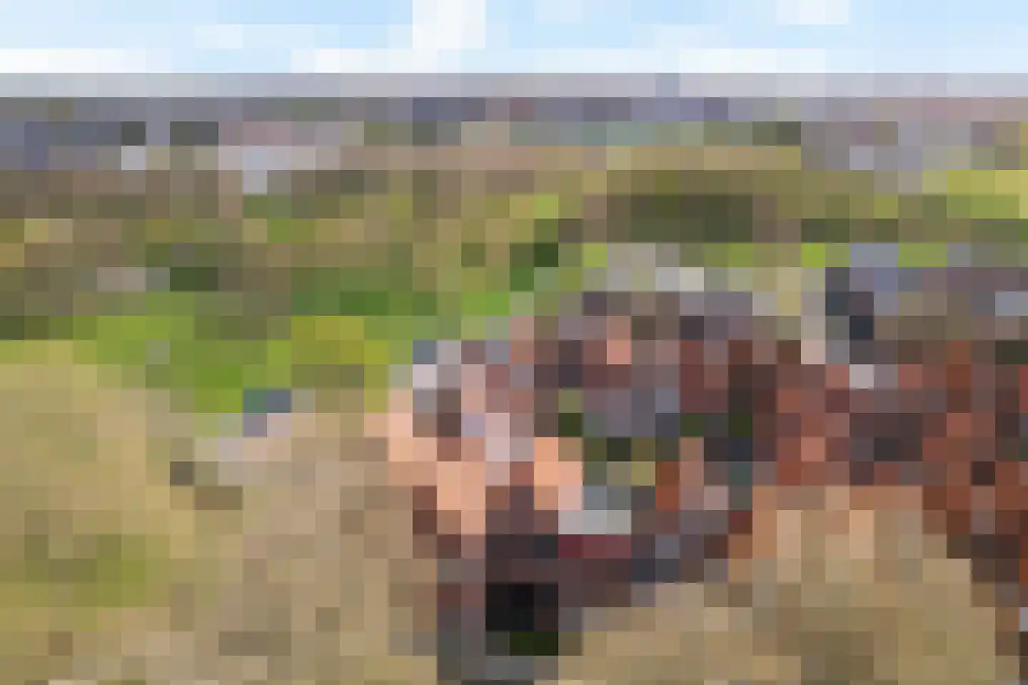 Akkerdreef 20 Zoetermeer thumbnail 5