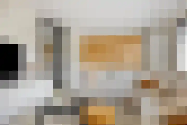 Akkerdreef 21 Nieuw-Beijerland thumbnail 12