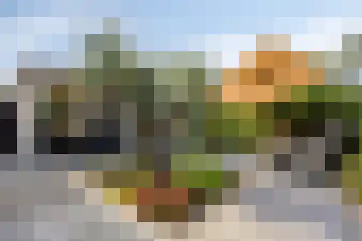 Akkerdreef 21 Nieuw-Beijerland thumbnail 42