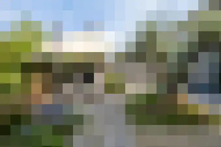 Akkerdreef 21 Nieuw-Beijerland thumbnail 43