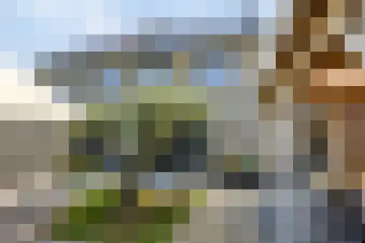 Akkerdreef 21 Nieuw-Beijerland thumbnail 47