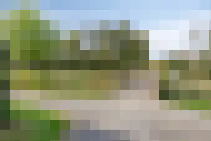 Akkerdreef 21 Nieuw-Beijerland thumbnail 48