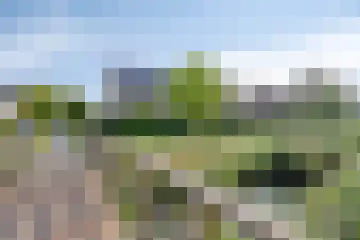 Akkerdreef 21 Nieuw-Beijerland thumbnail 49